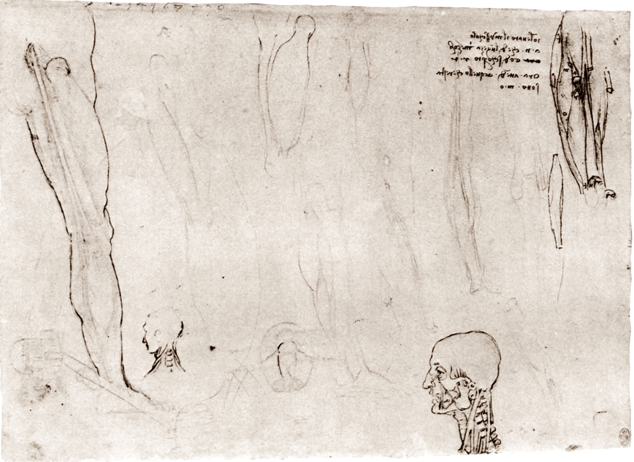 Leonardo+da+Vinci-1452-1519 (757).jpg